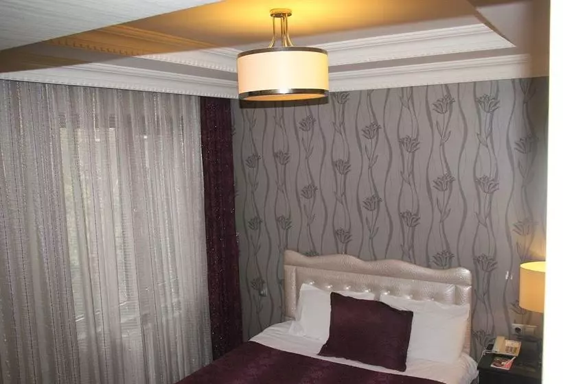 Fotos del hotel Ankara Risiss:  11