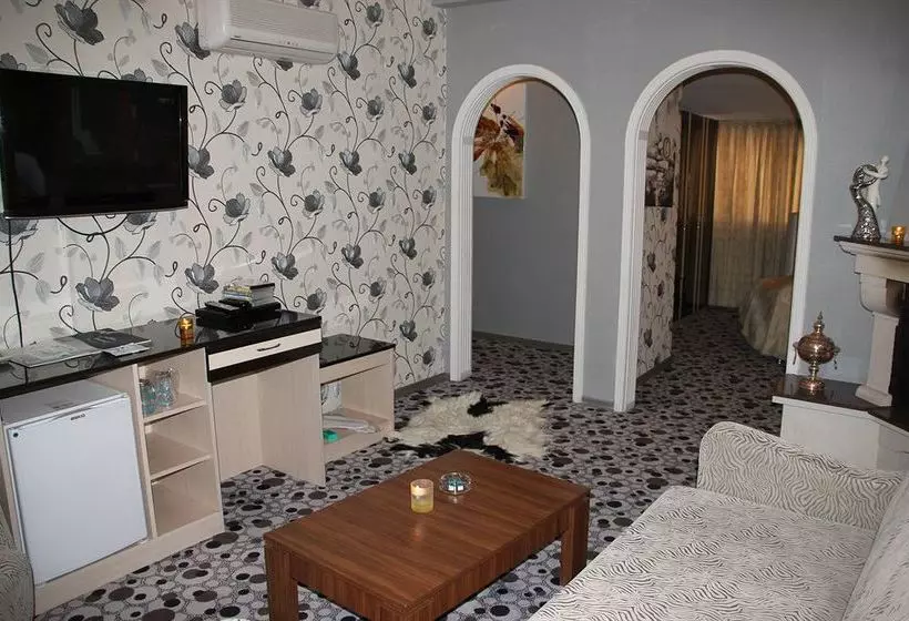 Fotos del hotel Ankara Risiss:  19