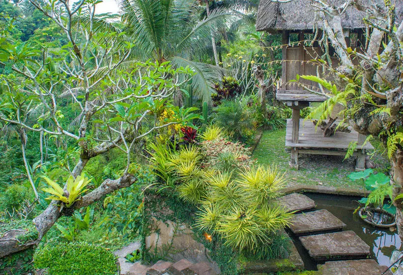 Fotos del hotel The Kampung Resort Ubud:  13