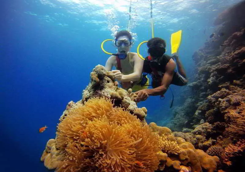 Fotos del hotel Luckyhiya:  6