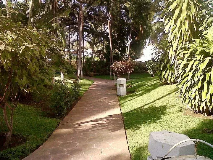 Fotos del hotel Tenisol:  12