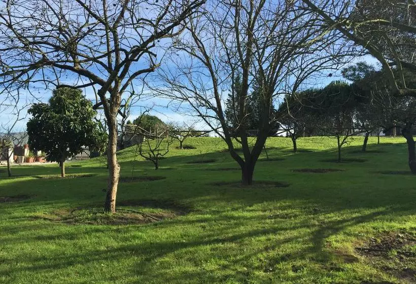 Fotos del hotel Solar Da Cerca Do Mosteiro:  7