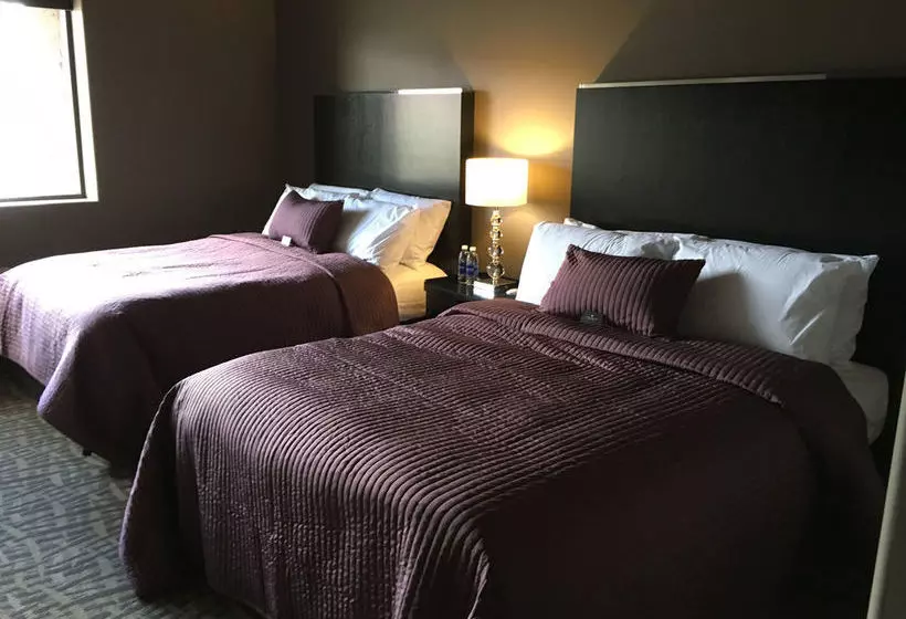 Fotos del hotel Del Sol, Boutique Phoenix Airport:  8