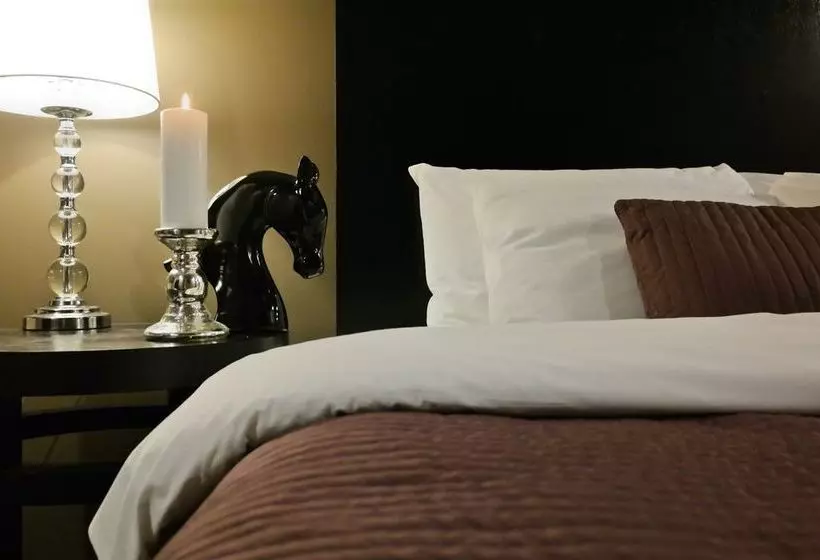Fotos del hotel Del Sol, Boutique Phoenix Airport:  17
