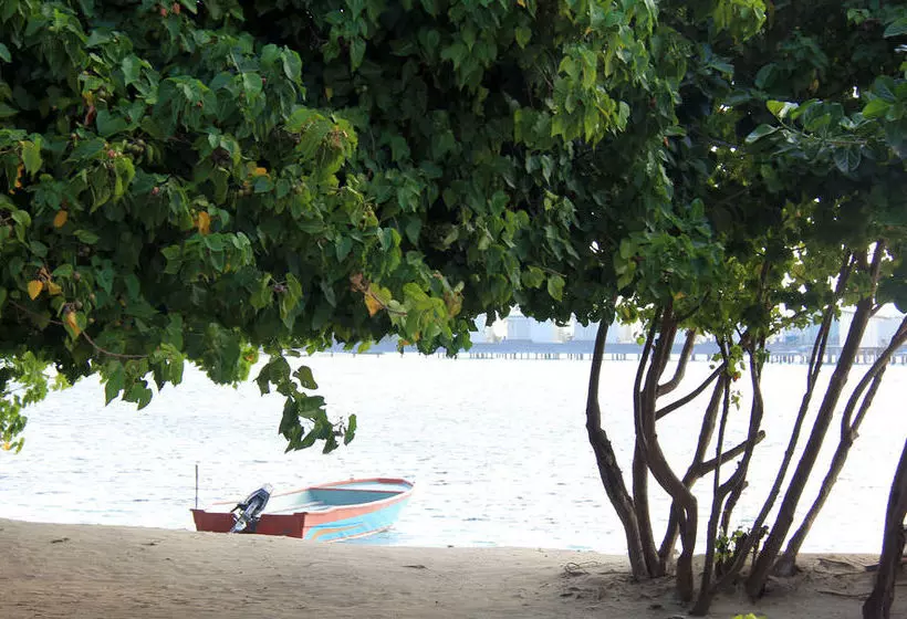 Fotos del hotel Rip Tide Beach:  22