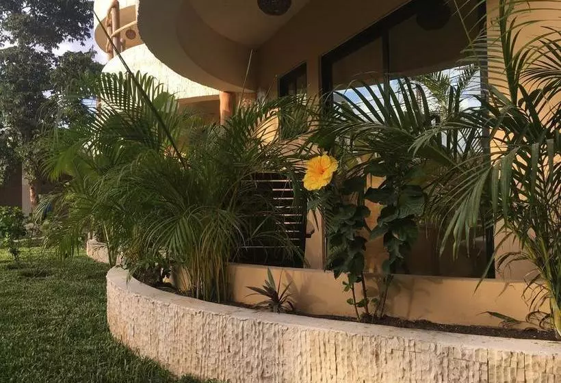 Fotos del hotel Jabin Tulum:  24